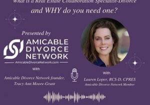 Amicable Divorce Discussion