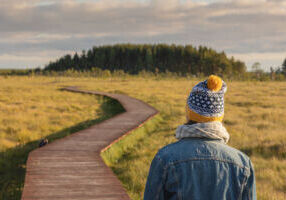 choosing-your-path-a-guide-to-modern-divorce-options